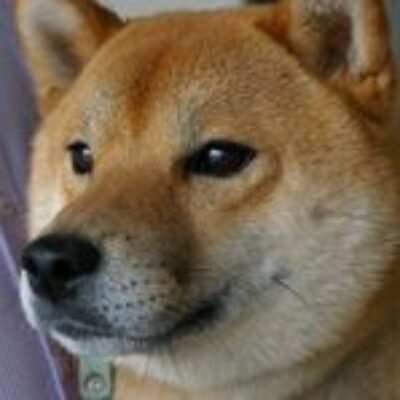 津守 さんのプロフィール写真