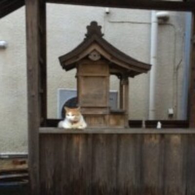 T さんのプロフィール写真