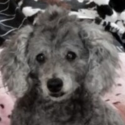 槙 太次郎 さんのプロフィール写真