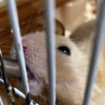 G.ENO さんのプロフィール写真