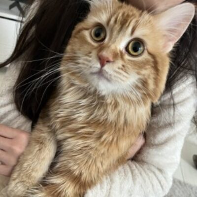 綾乃 さんのプロフィール写真