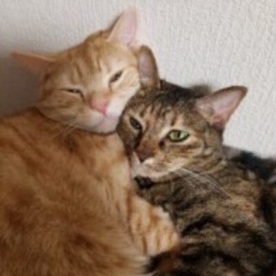 今田 直人 さんのプロフィール写真