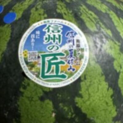 藤井 駿 さんのプロフィール写真