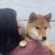 花輪 志保 さんのプロフィール写真
