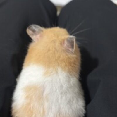 岡田 和也 さんのプロフィール写真