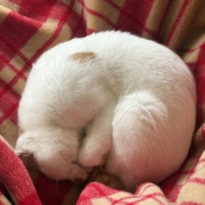 髙本 一輝 さんのプロフィール写真