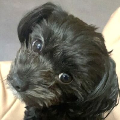 中野 さえ子 さんのプロフィール写真