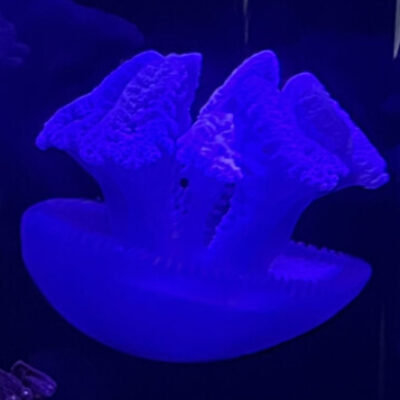 佐倉さん さんのプロフィール写真