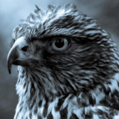 田中 総岳 さんのプロフィール写真