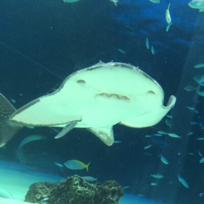 藤代 卓也 さんのプロフィール写真