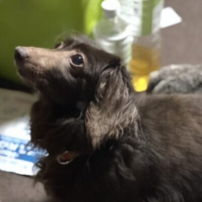 岡村 範彦 さんのプロフィール写真