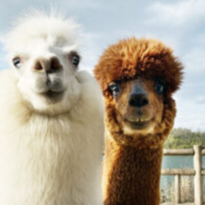 地本 大祐 さんのプロフィール写真