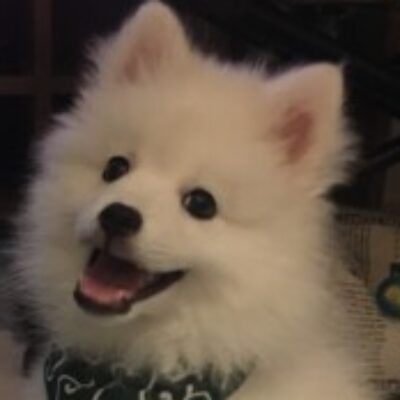 妹尾 寿幸 さんのプロフィール写真