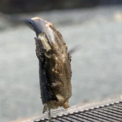 大村 豪介 さんのプロフィール写真