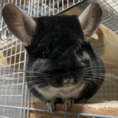 Alfine さんのプロフィール写真