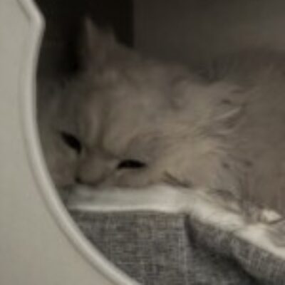 樋口 佐和子 さんのプロフィール写真